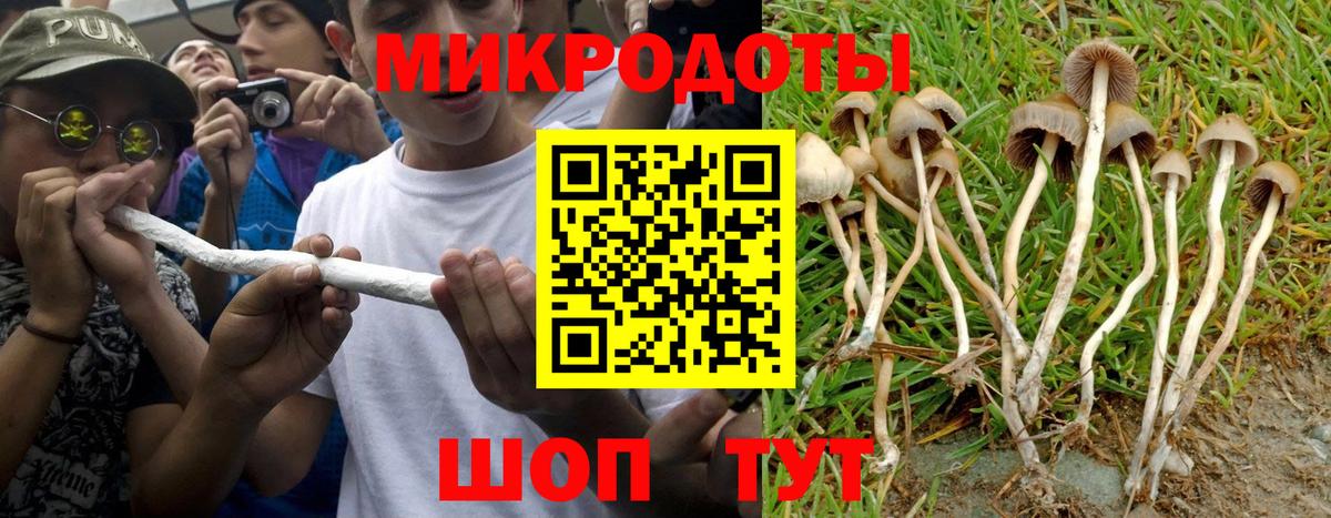 Галлюциногенные грибы прущие грибы Дятьково